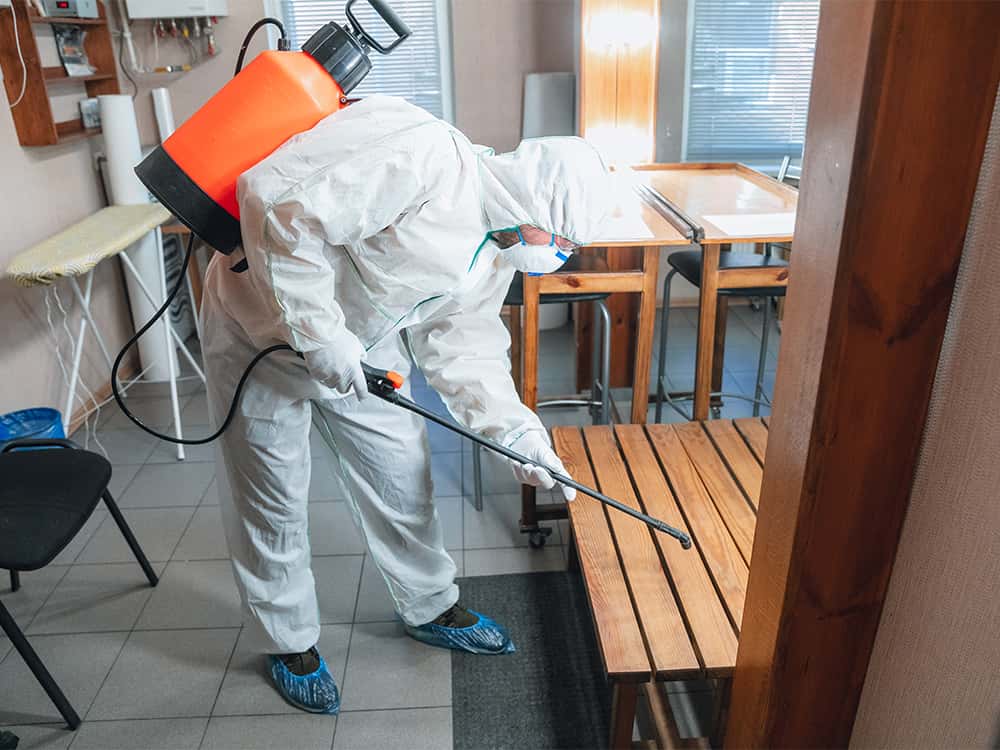 Bed Bug Control Noida