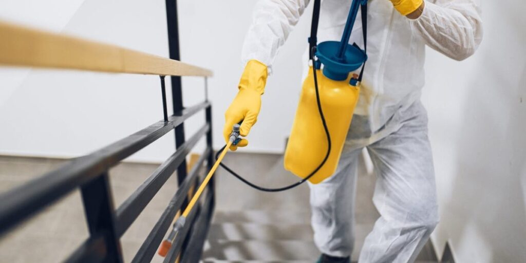 Top Pest Control Professionals in Noida
