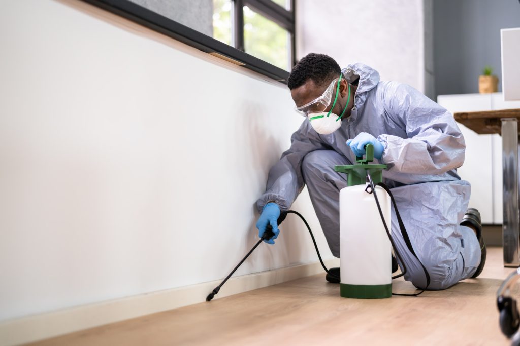 pest control services near me