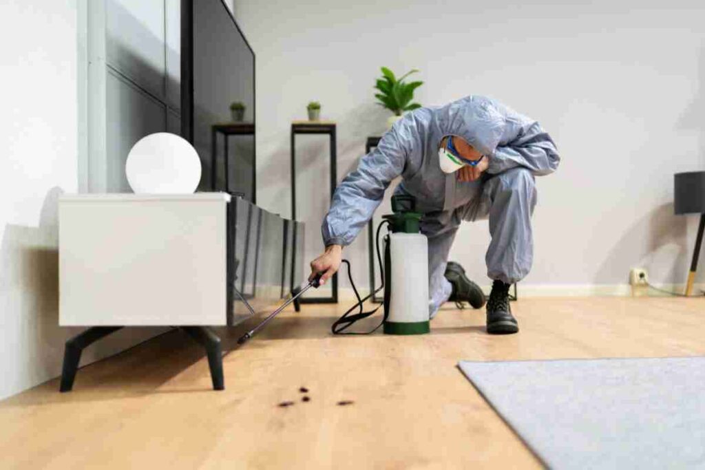 Best Pest Control Noida