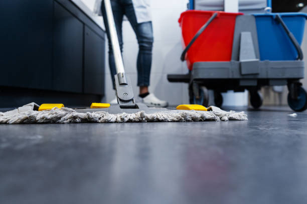 Floor Cleaning Experts Near Me