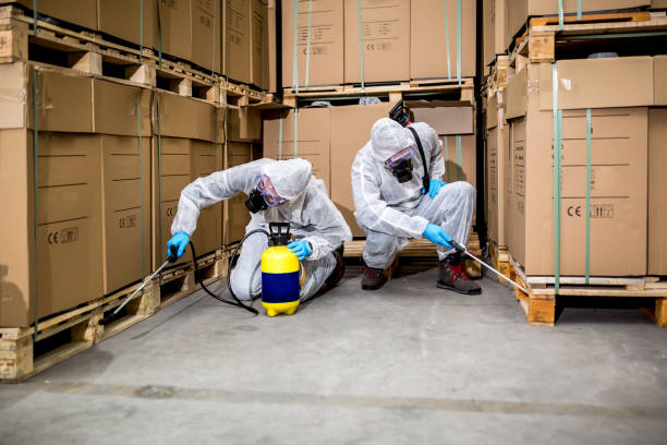 Best Pest Control Services