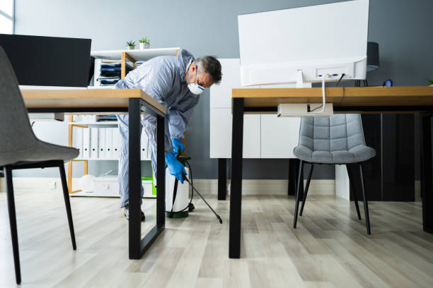 Pest Control Treatment Noida