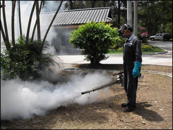 Mosquito Control Services
