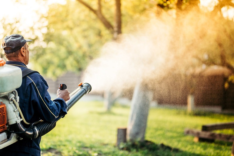 Mosquito Control Services