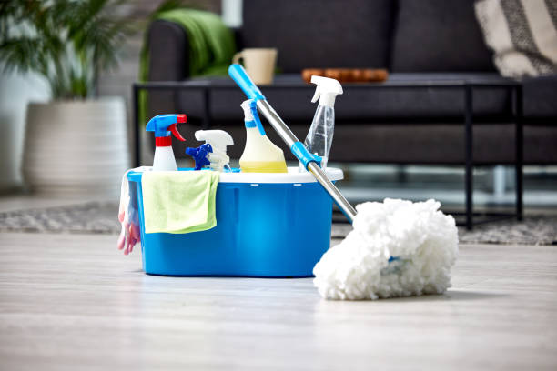 Nearby home cleaners in Noida