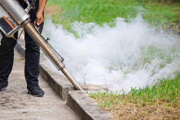 Mosquito Control Services Near Me