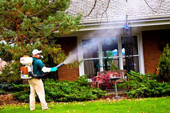 Mosquito Control Services Near Me