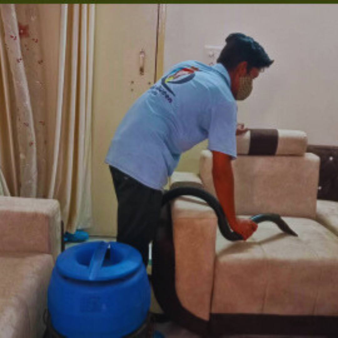 Sofa Cleaning