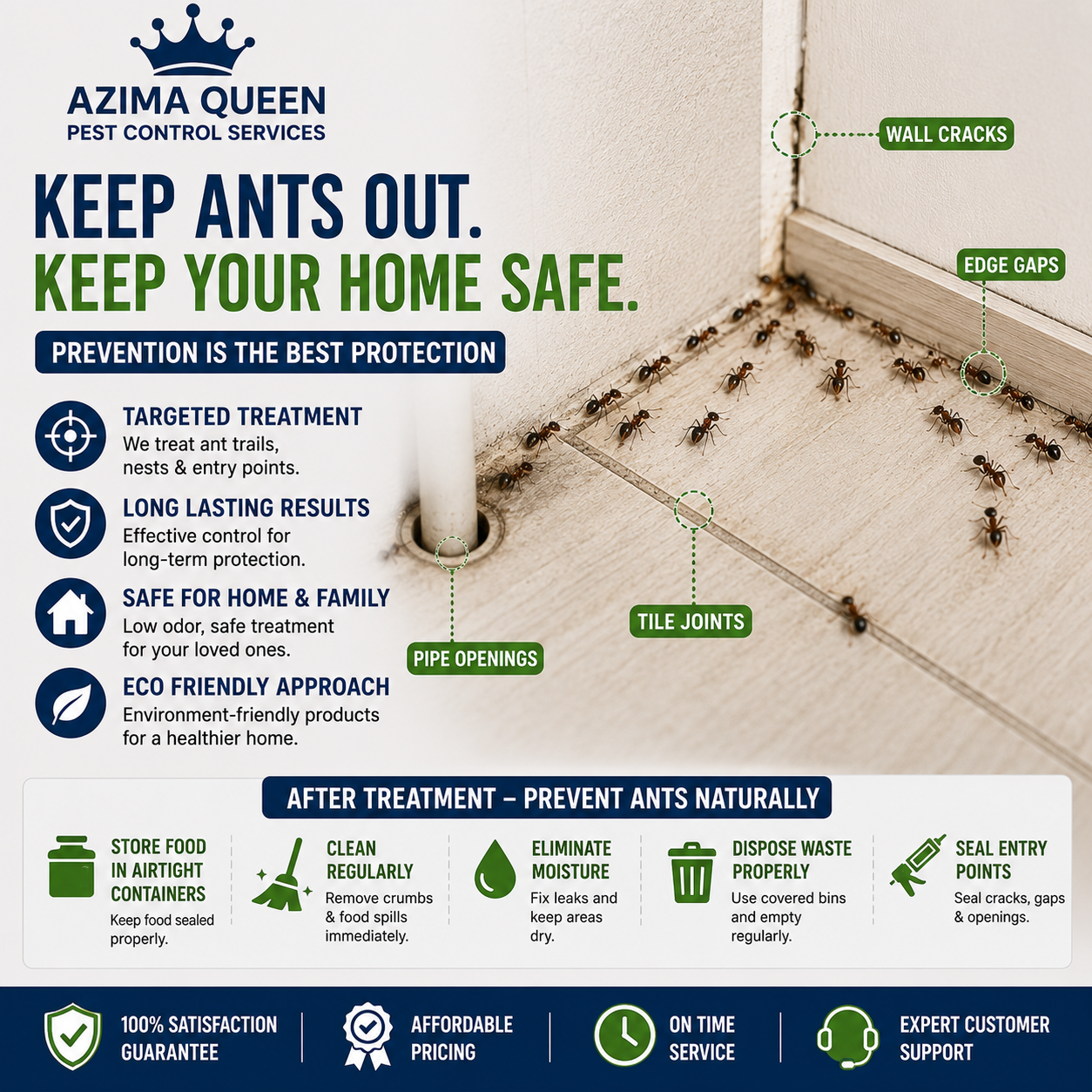 Ant Pest Control - Image 4