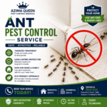 Ant Pest Control