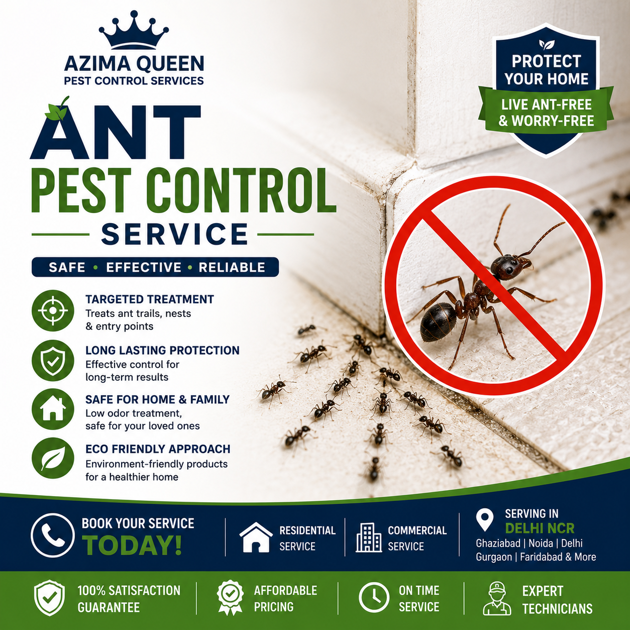 Professional Ant Pest Control Service by Azima Queen